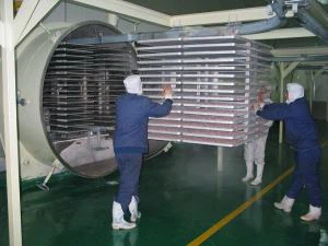 Vákuumos fagyasztva szárító liofilizáló gép ipari élelmiszerekhez és zöldségekhez