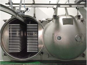 Kereskedelmi fagyasztva szárító eladó Lyophilzer gép