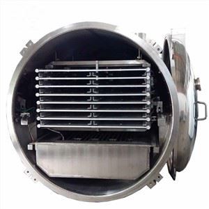 Kereskedelmi paradicsom és avokádó vákuumos fagyasztva szárító