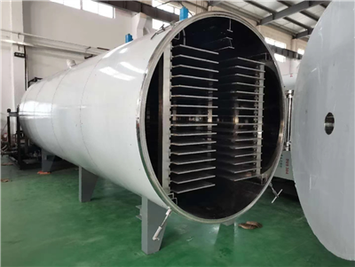 Durian Strawberry Fruit Zöldség fagyasztva szárító liofilizáló